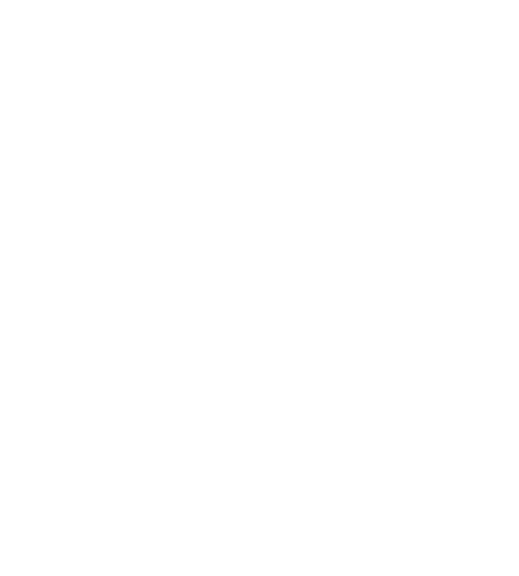 VAREX IMAGING CORPORATION