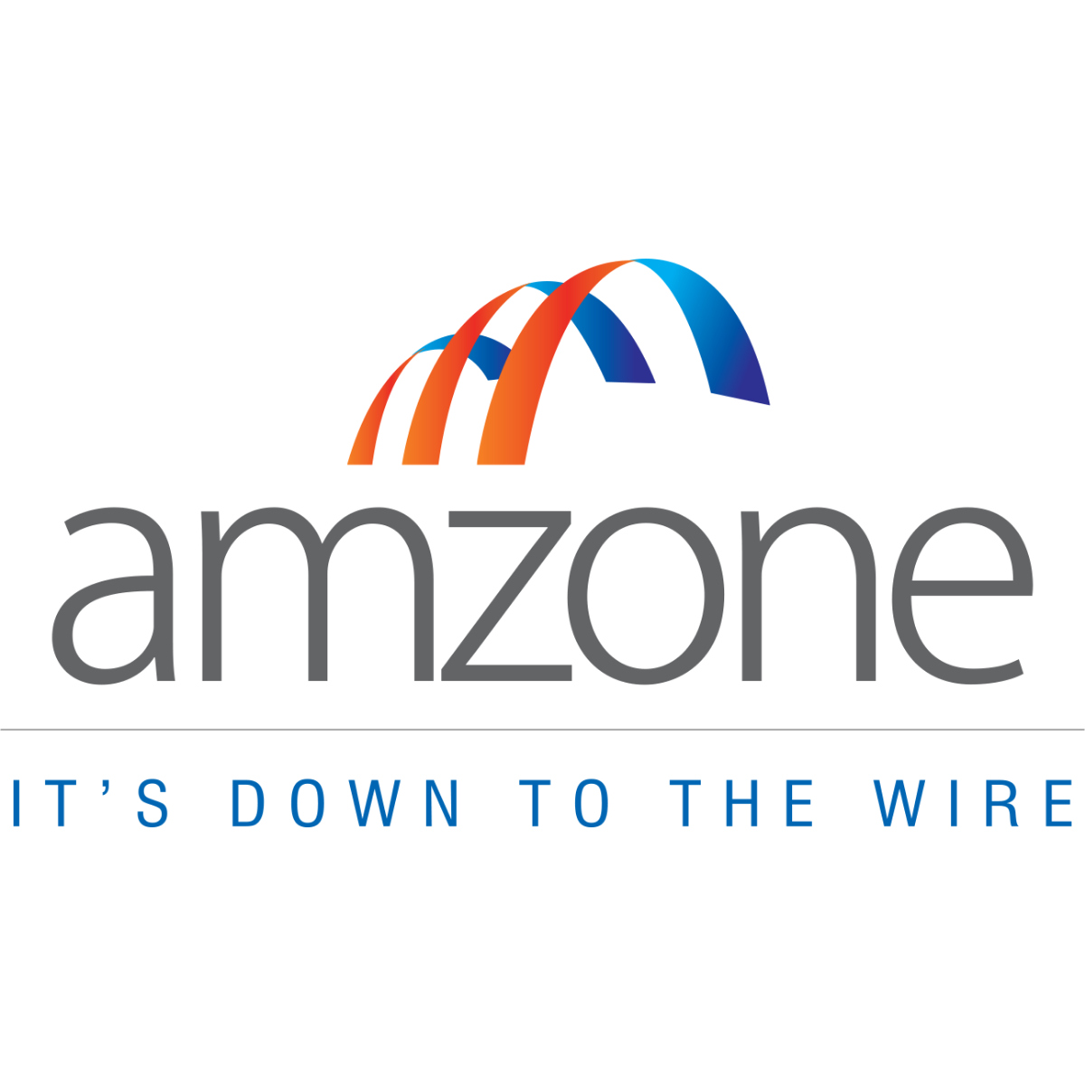 AMZONE NORTH AMERICA LTD.