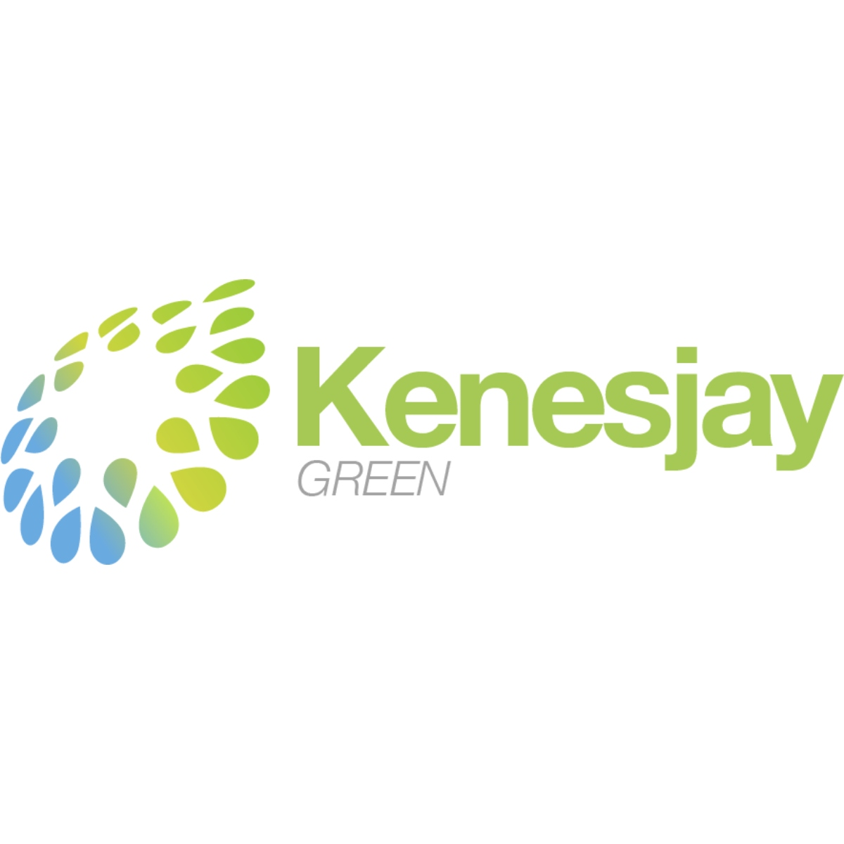 KENESJAY GREEN LIMITED